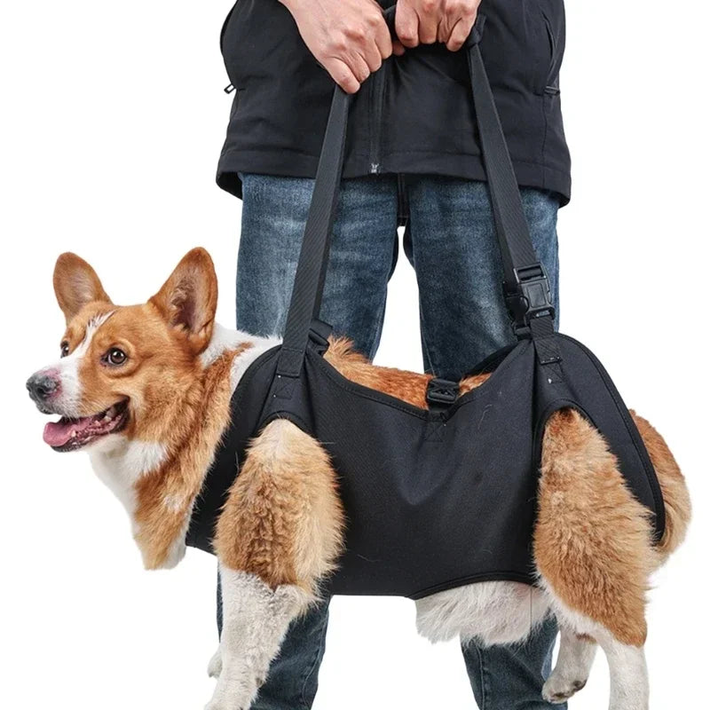 Dog Lift Harness, Body Support & Recovery Sling