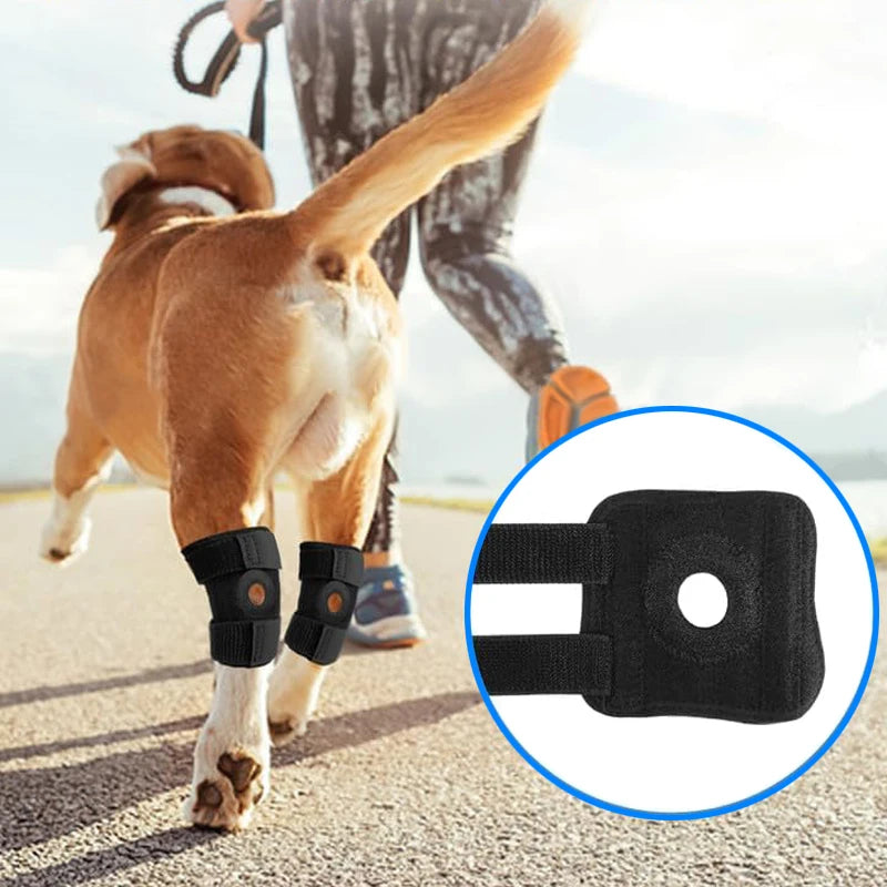 Dog Joint Support Brace