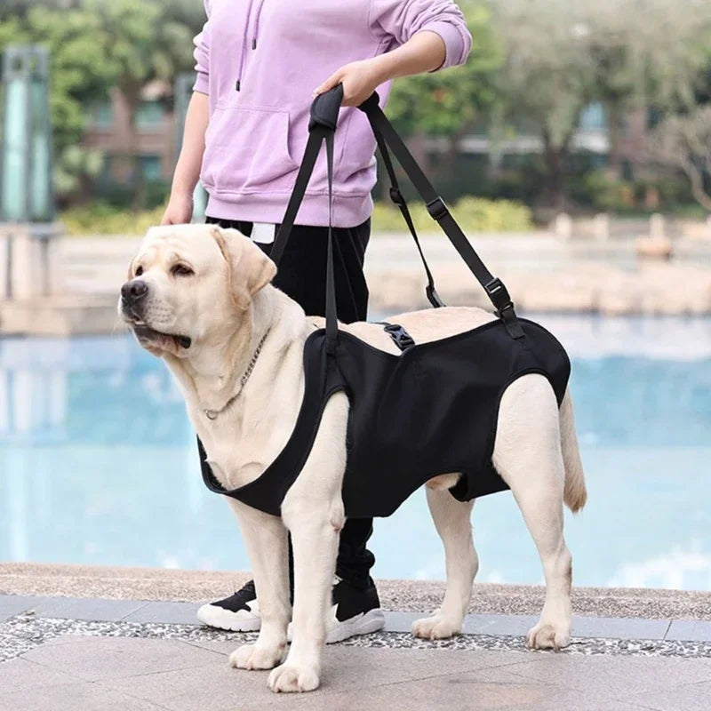 Dog Lift Harness, Body Support & Recovery Sling