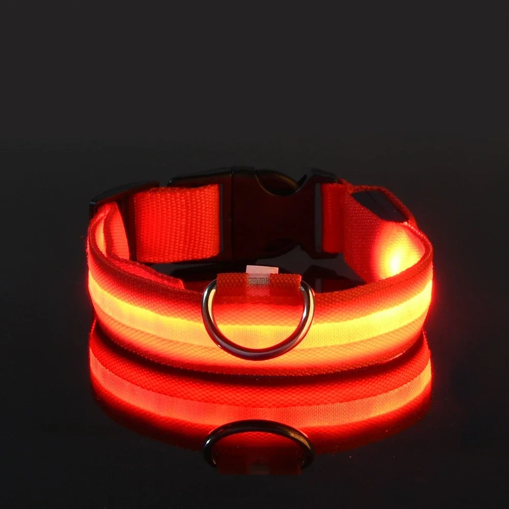 LED Night Safety Dog Collar