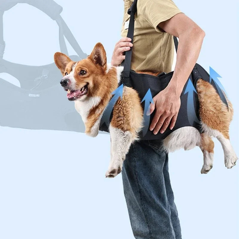 Dog Lift Harness, Body Support & Recovery Sling