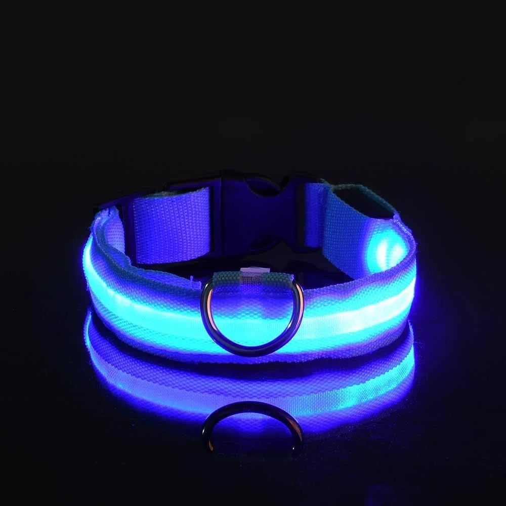 LED Night Safety Dog Collar