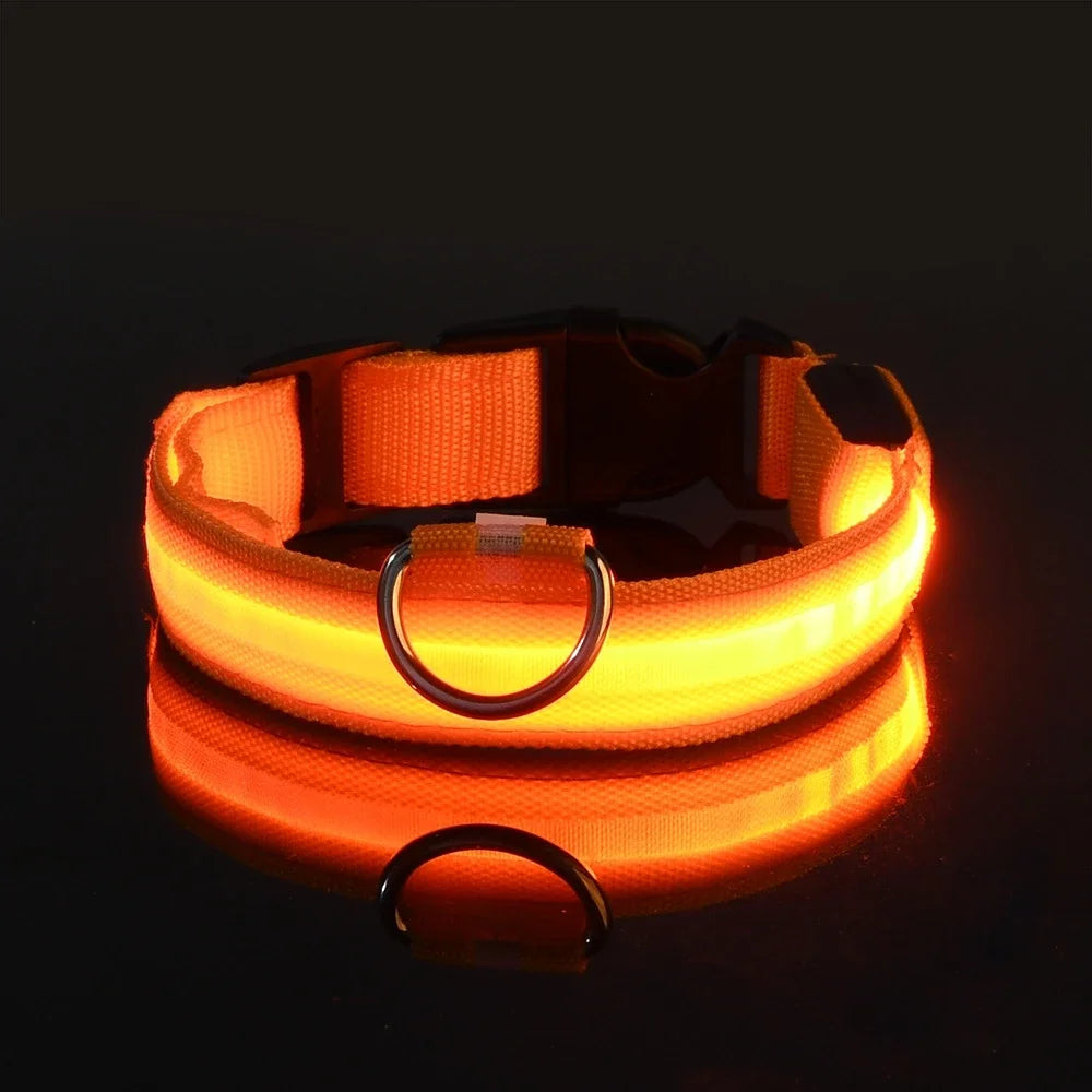 LED Night Safety Dog Collar