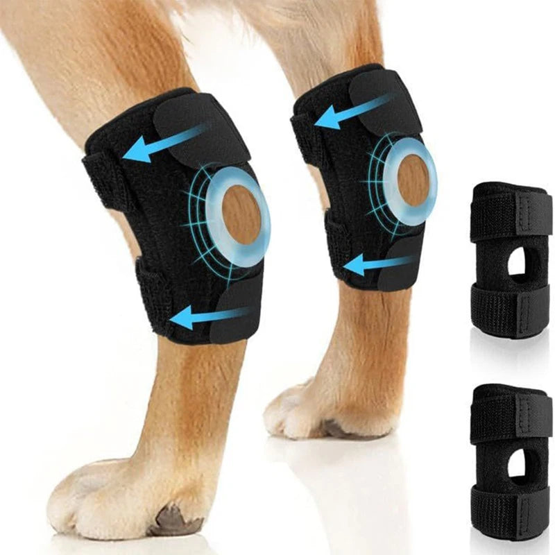 Dog Joint Support Brace