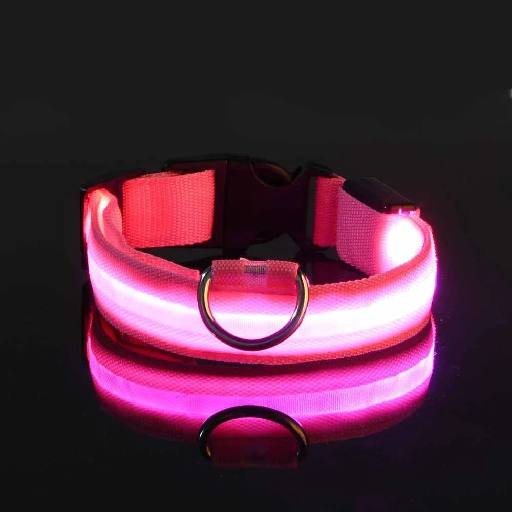 LED Night Safety Dog Collar